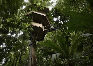 treehouse in the rainforest in costa rica